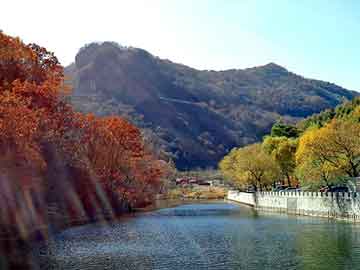 澳门二四六天天彩图库，地狱警察